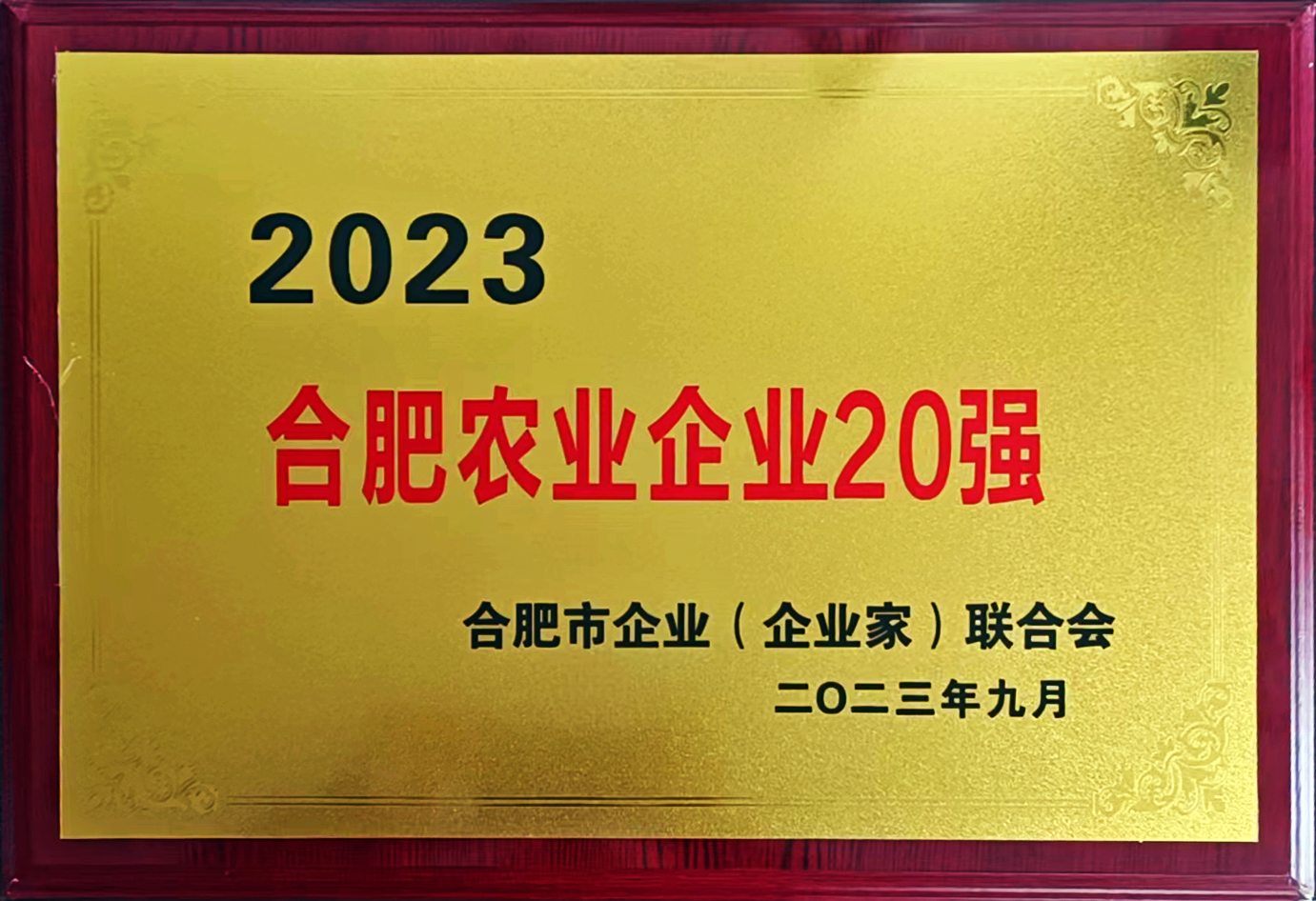 九州酷游(酷游·ku游)官方网站